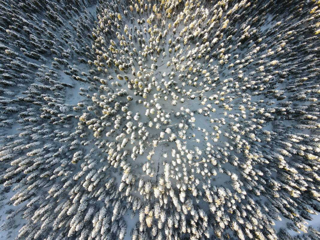 Ilgaz Dağı'nda kartpostallık görüntüler - Resim: 25